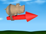 Pig on the Rocket