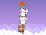 Cat cat watermelon
