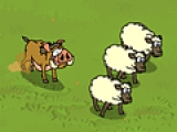 Kaban: Sheep