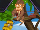 Maniac Monkey