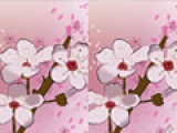 Spring Flowers Differences