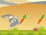 Bugs Bunnys Hopping Carrot Hunt