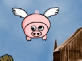 Fly Pig