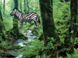 Hidden Zebra