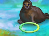 My Sweet Seal