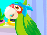 Parrot Care