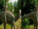Differences in Dinoland
