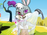 Peppy's Pet Caring - Bunny