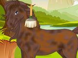 Horse Grooming Salon
