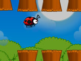 Fly LadyBird
