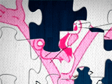 The Pink Panther Puzzle