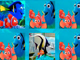 Finding Nemo Memory Matching