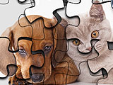 Cats Vs Dogs Puzzle 