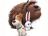 The Secret Life of Pets Coloring