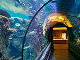Escape From Sea Aquarium