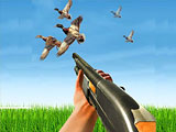 Bird Hunting Gun Fire Shooter